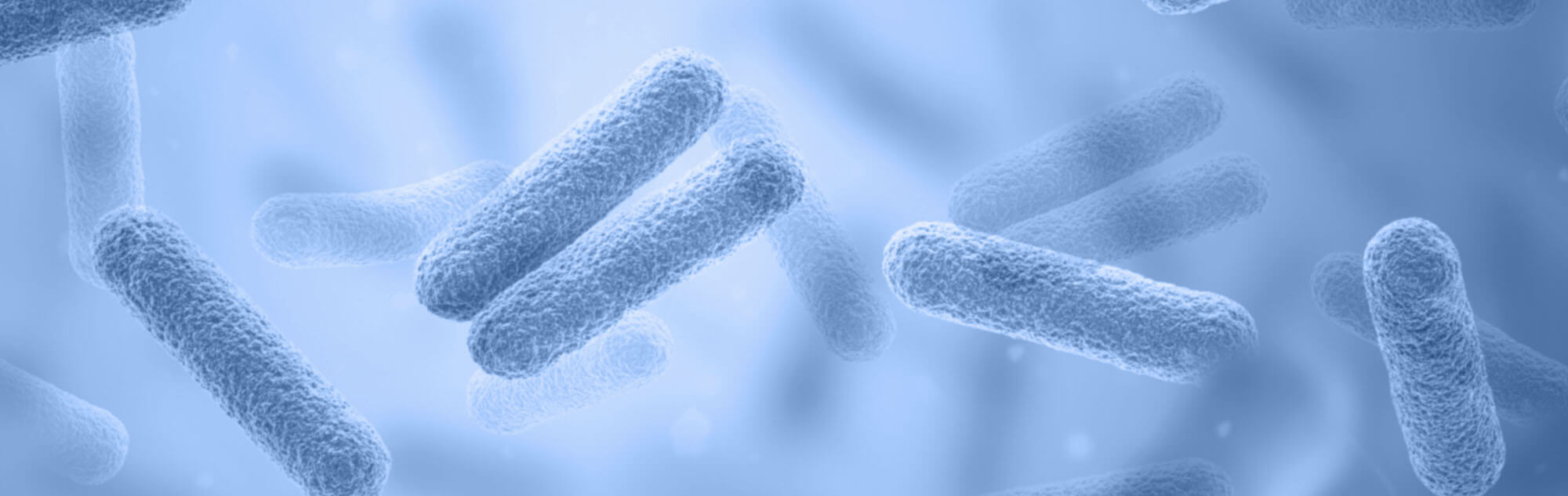 Dipslides for Monitoring Aerobic Bacteria B&V Chemicals